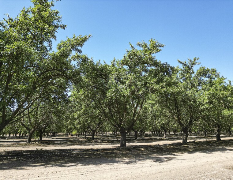 Road 140, Pixley, CA for sale - Building Photo - Image 1 of 1