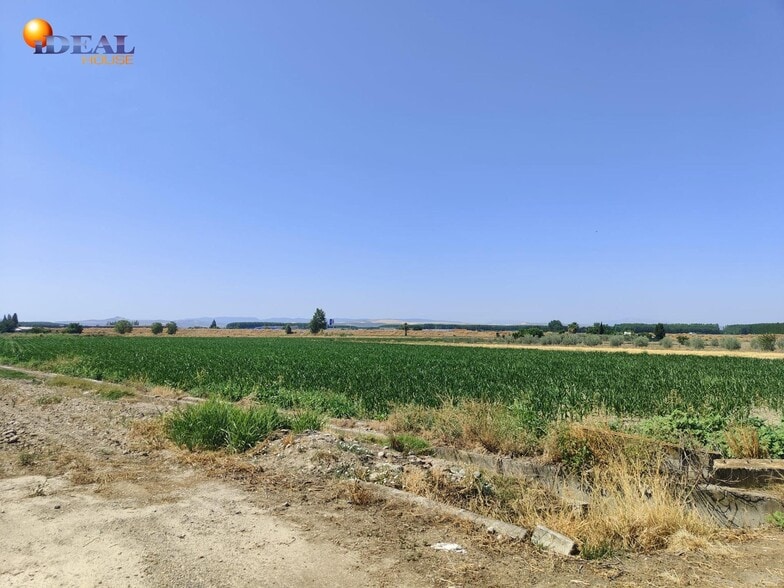 Carretera de Pinos Puente, Atarfe, Granada for sale - Aerial - Image 3 of 7
