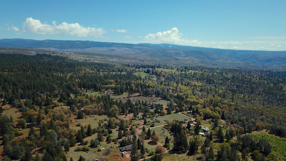 21726 Graham Rd, Manton, CA for sale - Primary Photo - Image 1 of 1