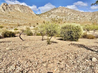 More details for Land for Sale
