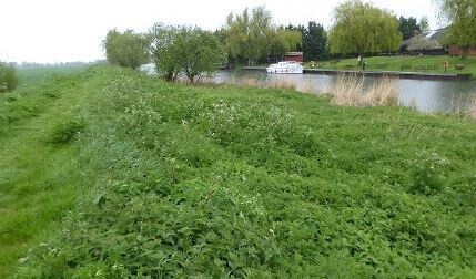 Upware Marina, Ely for sale Primary Photo- Image 1 of 1