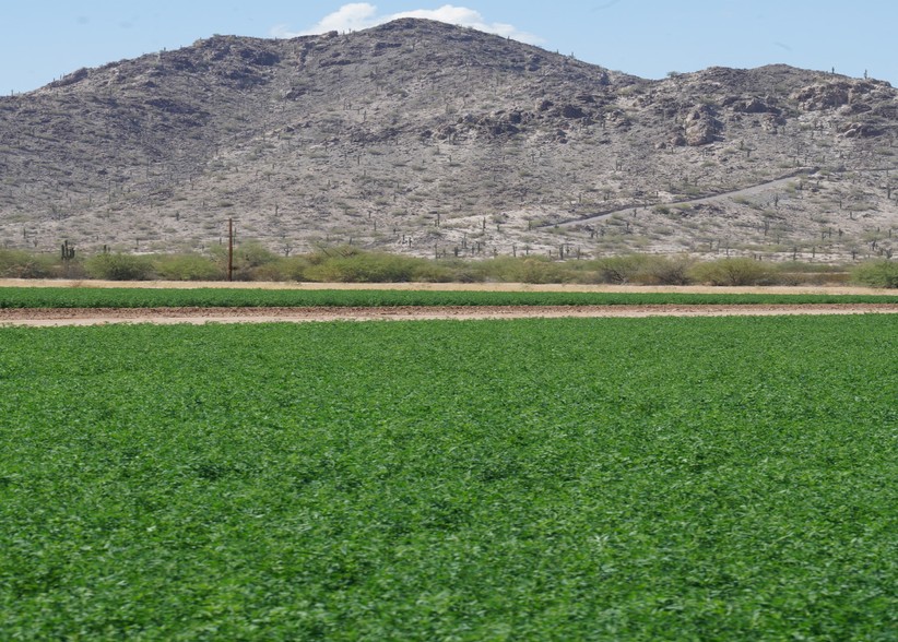 Fulcar Rd, Maricopa, AZ for sale - Primary Photo - Image 1 of 1