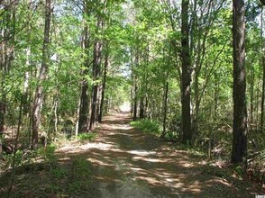 2429 Hwy. 544, Conway, SC for sale Primary Photo- Image 1 of 1