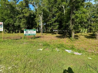 More details for 605 Floyd Gray Rd, Crawfordville, FL - Land for Sale