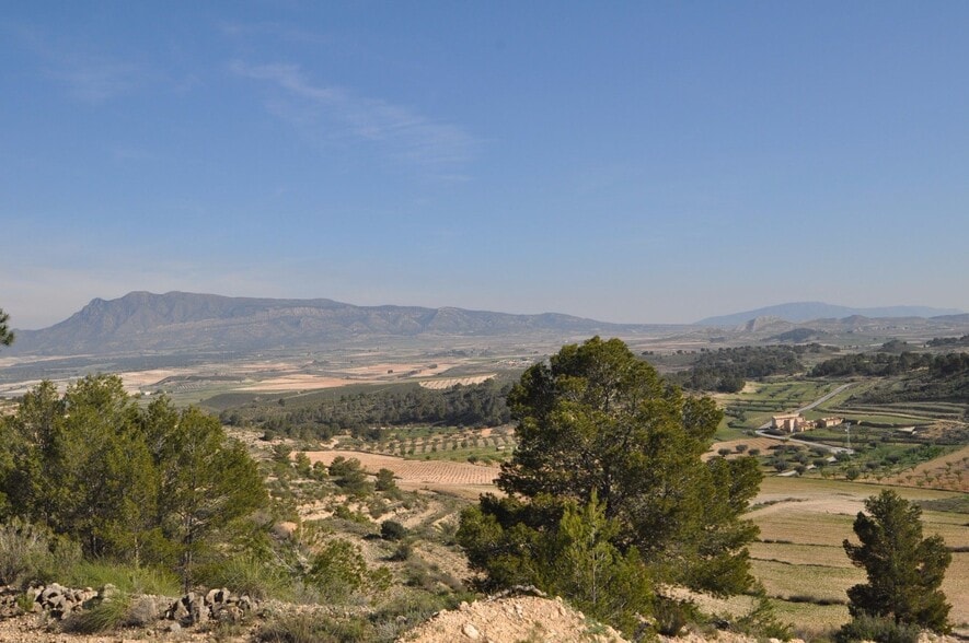 Land in Jumilla, Murcia for sale - Aerial - Image 3 of 9