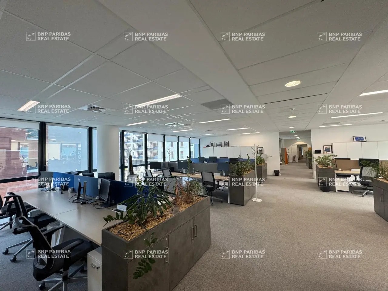 Office in Marseille to rent Building Photo- Image 1 of 22