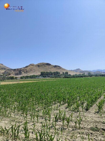 Carretera de Pinos Puente, Atarfe, Granada for sale - Primary Photo - Image 1 of 7