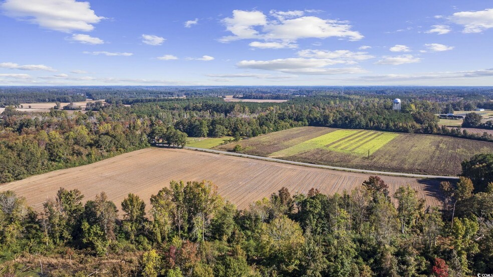 3542 Blue Bird Pl, Mullins, SC for sale - Building Photo - Image 3 of 6