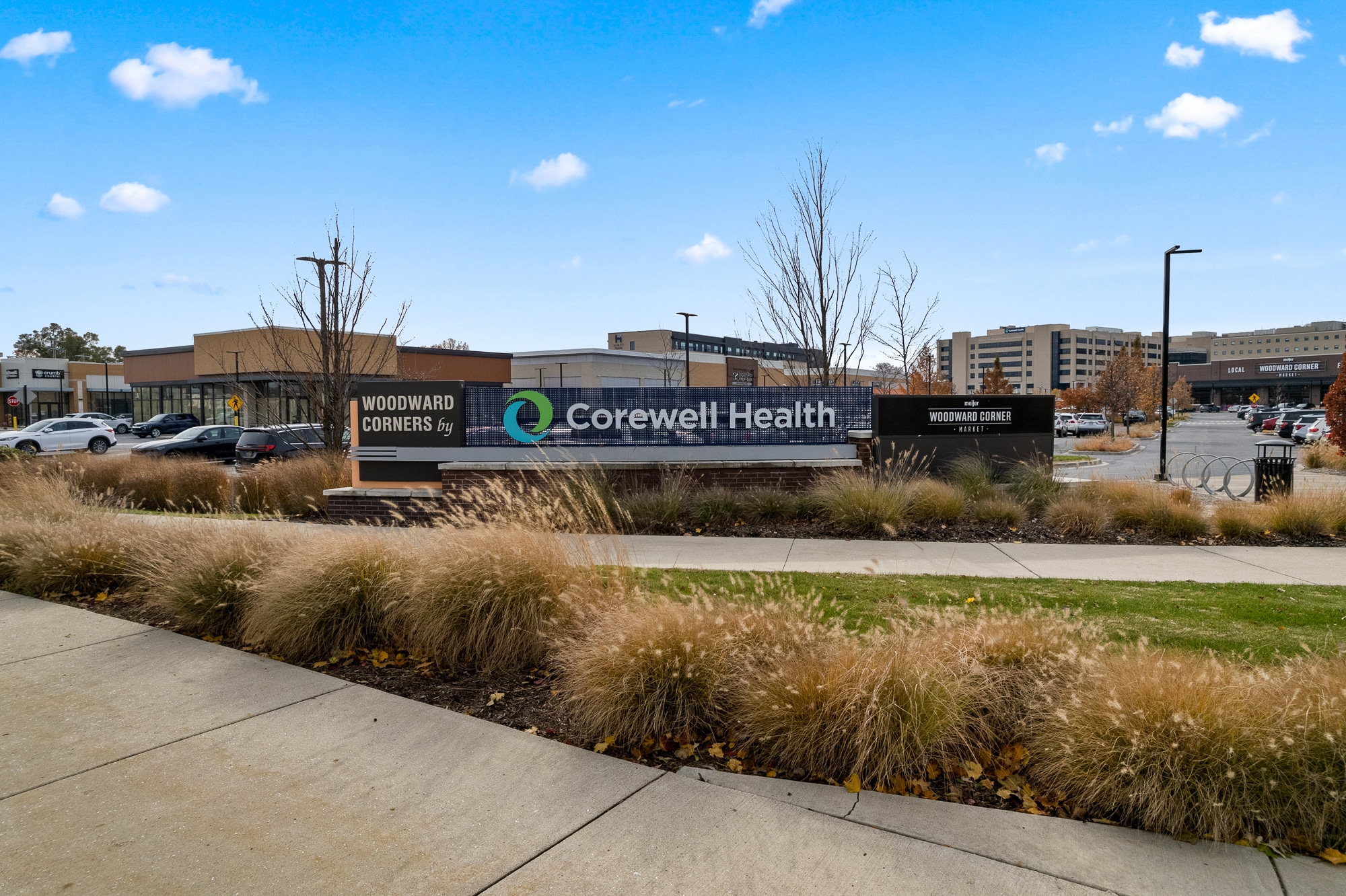 Woodward Ave, Royal Oak, MI to rent Building Photo- Image 1 of 39