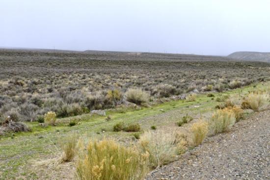 Coal Mine, Elko, NV for sale - Primary Photo - Image 1 of 1