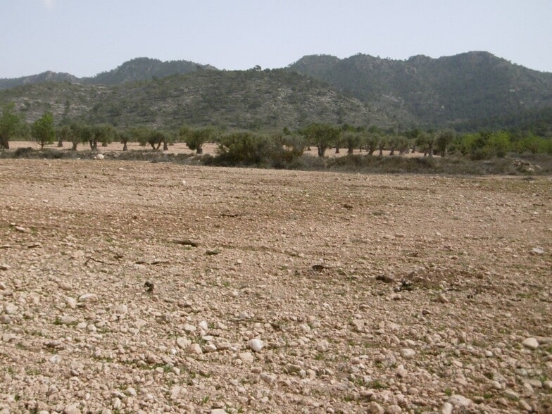 Land in Yecla, Murcia for sale - Site Plan - Image 2 of 3