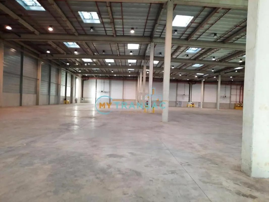 Industrial in Moissy-Cramayel to rent Building Photo- Image 1 of 13