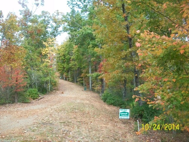 850 Bluff Rd, Marble, NC for sale - Other - Image 2 of 14