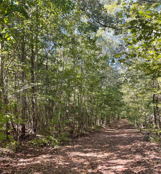 More details for Meadow Green Lane – Land for Sale, Woodruff, SC