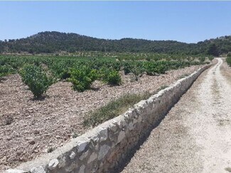 More details for Paraje Sopaire y Cañada de la Leña, 3, Abanilla - Land to Rent