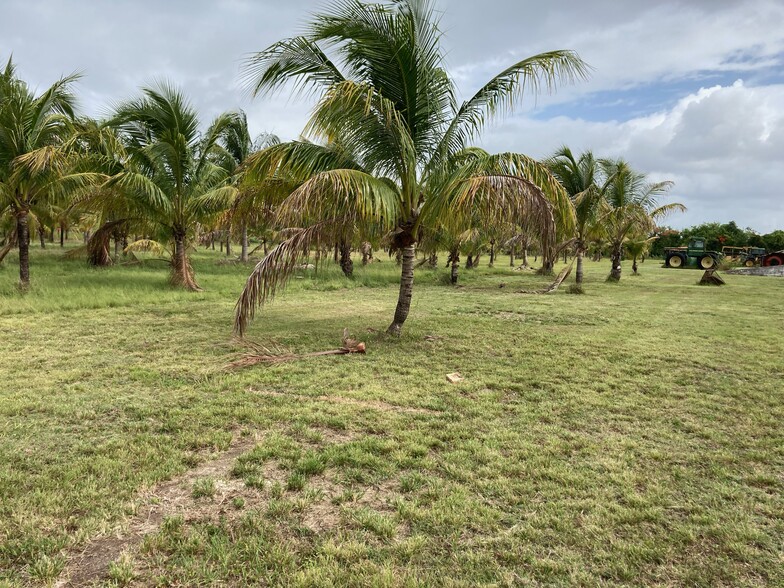 1985 NE 8th St, Homestead, FL for sale - Building Photo - Image 2 of 6