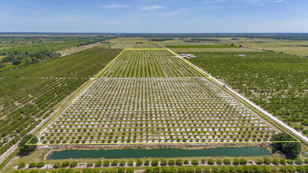 Hwy 31, Arcadia, FL for sale - Aerial - Image 1 of 11