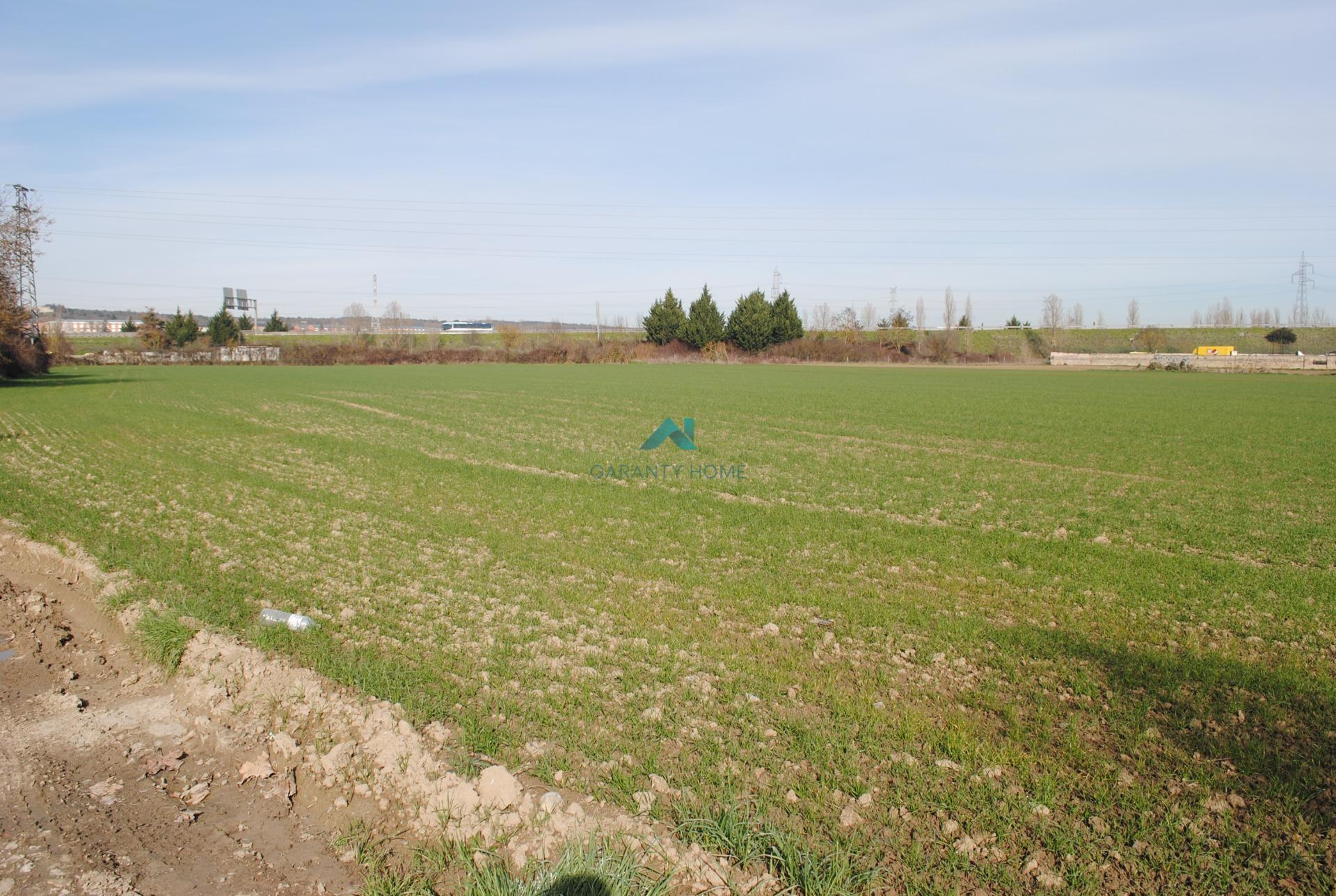 Artandi, GASTEIZ, Álava for sale Site Plan- Image 1 of 6
