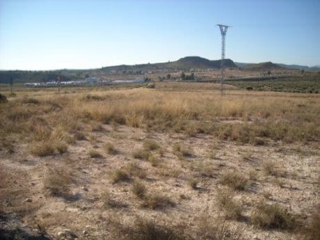 Industrial in Calasparra for sale - Site Plan - Image 2 of 7