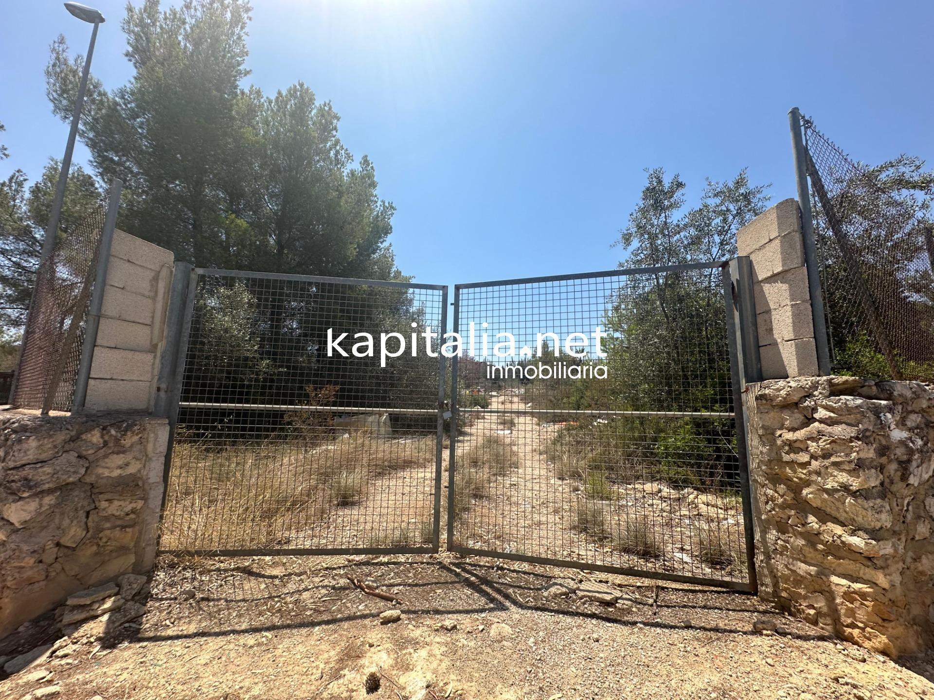 Land in Alberic, Valencia for sale Primary Photo- Image 1 of 4