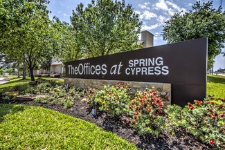 More details for 11615 Spring Cypress Rd, Tomball, TX - Office for Sale