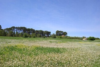 More details for Ip, 09, Agullent - Land for Sale