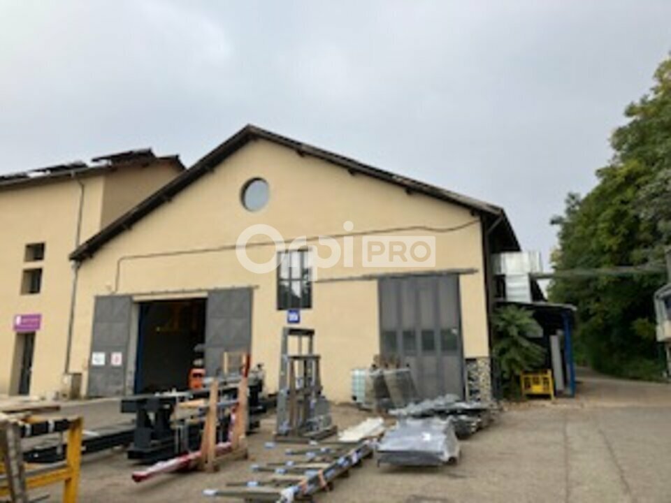 Light Industrial in Neuville-sur-Saône to rent Building Photo- Image 1 of 9