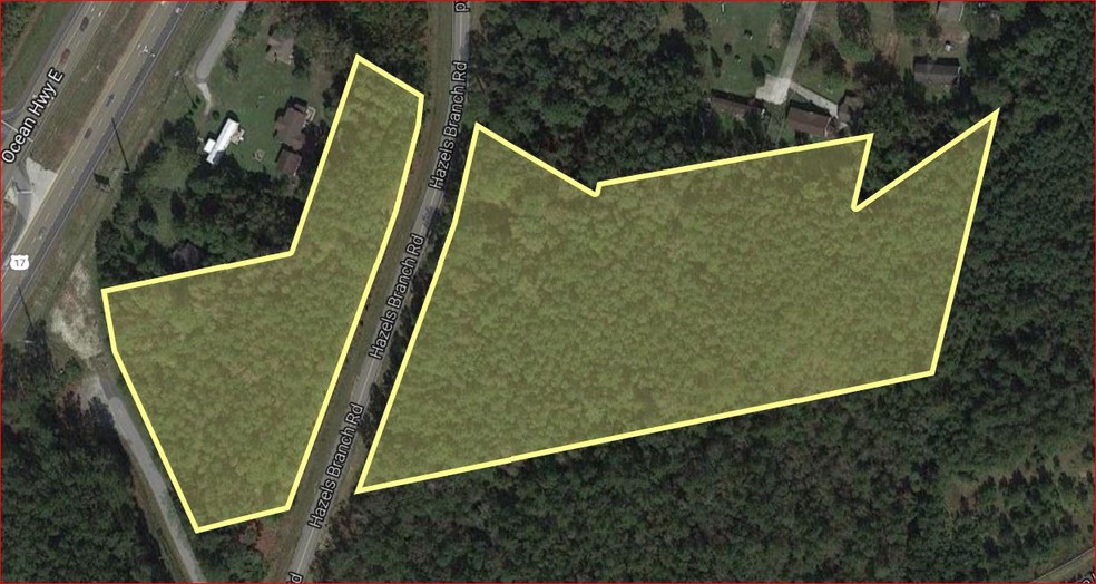 Hazels Branch Rd, Leland, NC for sale - Aerial - Image 1 of 1