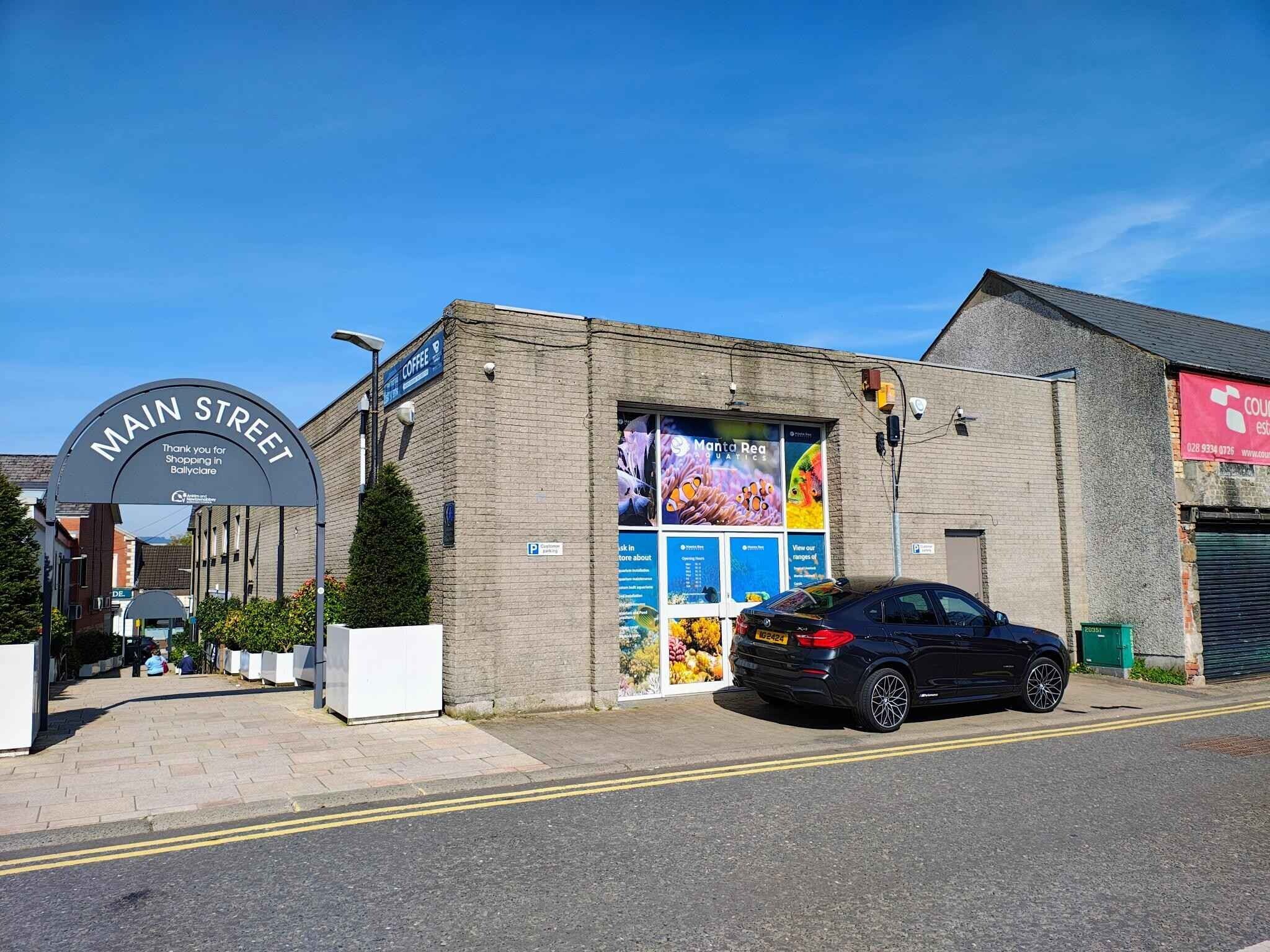 10 Harrier Way, Ballyclare to rent Primary Photo- Image 1 of 2