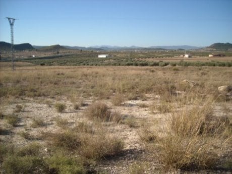 Industrial in Calasparra for sale - Site Plan - Image 1 of 7