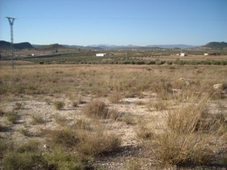 Industrial in Calasparra for sale Site Plan- Image 1 of 8