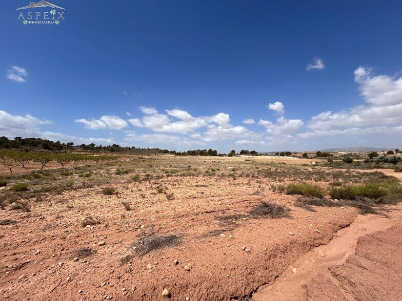 Land in Jumilla, Murcia for sale - Aerial - Image 3 of 5