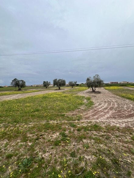 Land in El Viso de San Juan, Toledo for sale - Other - Image 3 of 5
