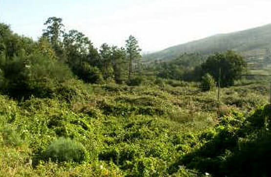 Land in Pontevedra, Pontevedra for sale Building Photo- Image 1 of 2