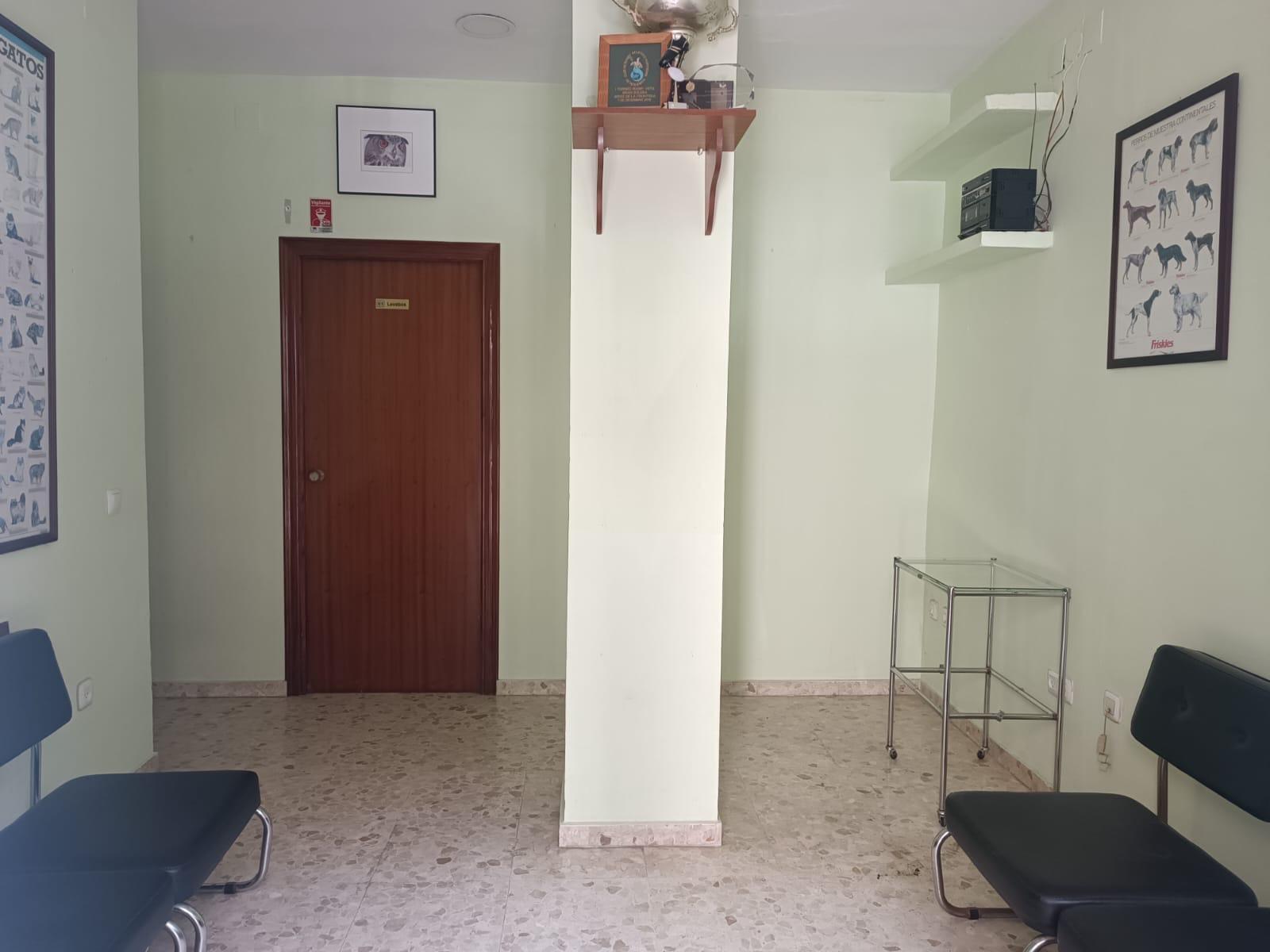 Retail in Córdoba, Córdoba to rent Interior Photo- Image 1 of 8