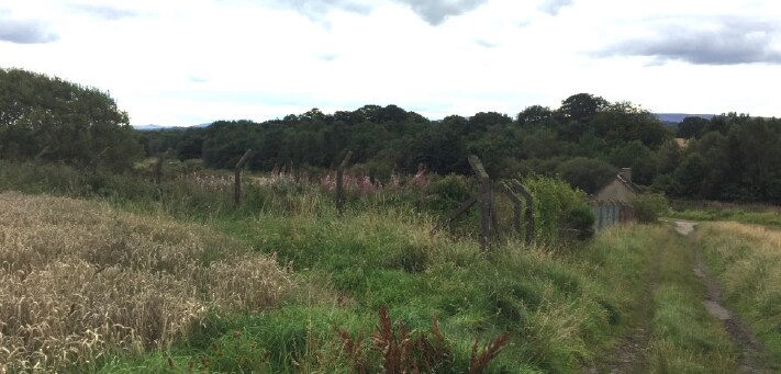 Almond Vw, Bathgate for sale Primary Photo- Image 1 of 1