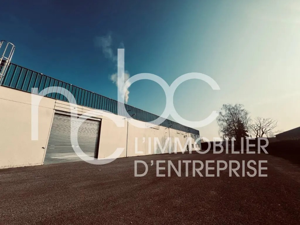 Light Industrial in Vaulx-en-Velin to rent Building Photo- Image 1 of 17