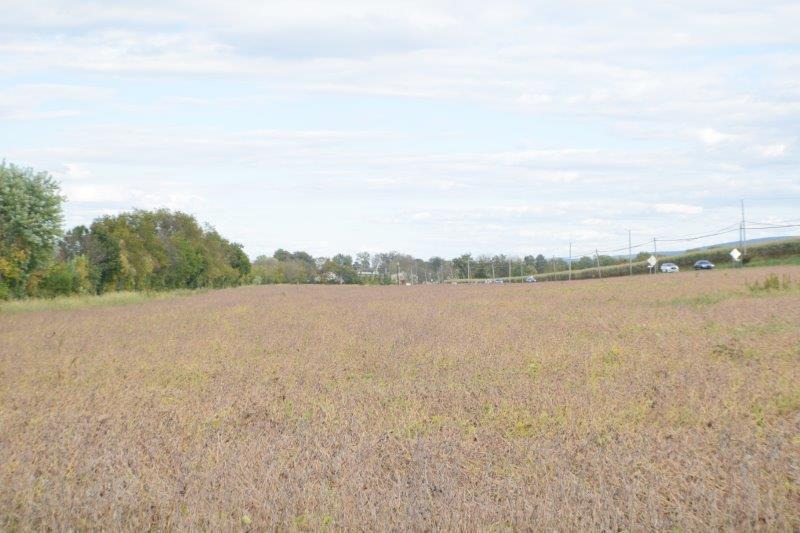 Old Turnpike Road, Lewisburg, PA for sale - Primary Photo - Image 1 of 1