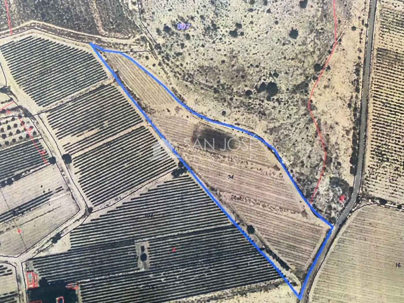 Land in Novelda, Alicante for sale Primary Photo- Image 1 of 8