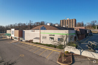 More details for 230 Rodi & Frankstown Rd, Pittsburgh, PA - Multiple Space Uses for Rent