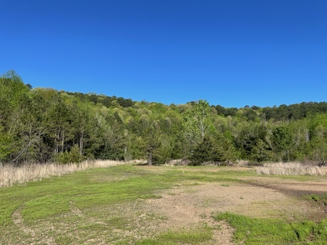 West Portland Ave, Russellville, AR for sale - Building Photo - Image 2 of 6