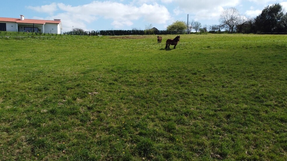 Marinas, Las Regueras, Asturias for sale - Building Photo - Image 3 of 30