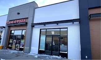 More details for 6490 Cartmell Pl SW, Edmonton, AB - Retail to Rent