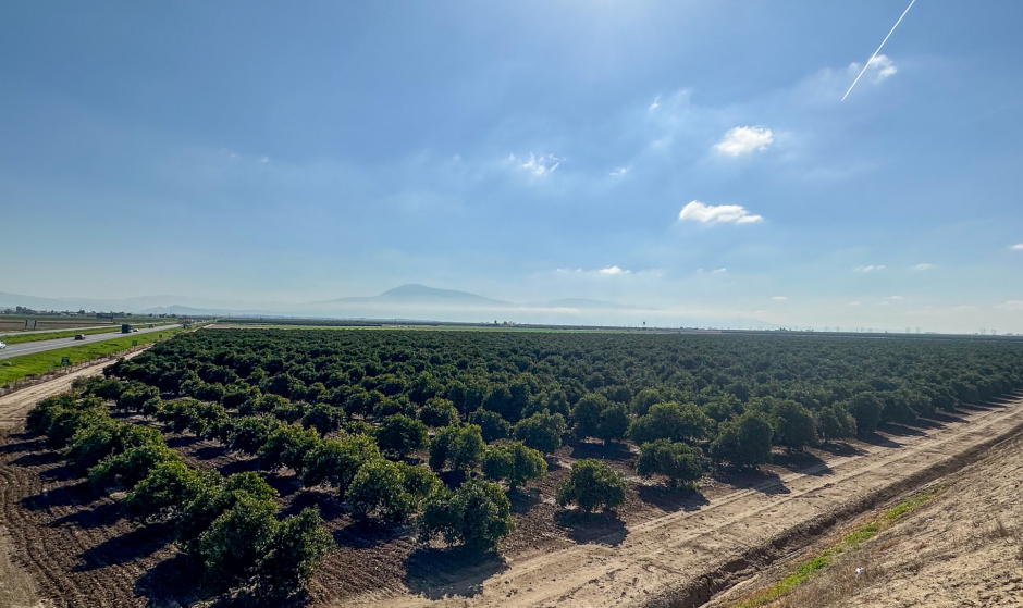 355 S Vineland Rd, Bakersfield, CA for sale - Building Photo - Image 1 of 10