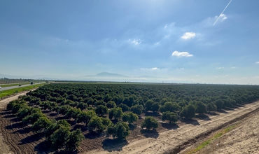 355 S Vineland Rd, Bakersfield, CA for sale Building Photo- Image 1 of 11