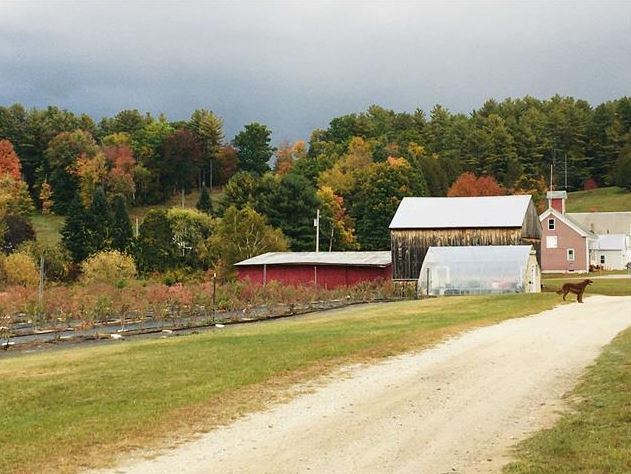 2636 Vt Route 3, Pittsford, VT for sale - Building Photo - Image 1 of 1