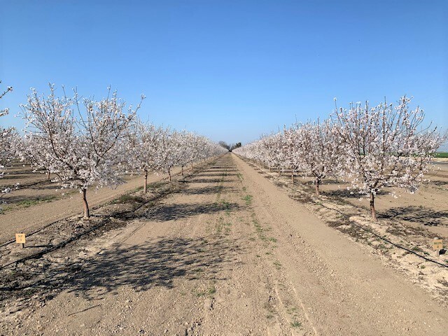 AVENUE 128, Tipton, CA for sale Primary Photo- Image 1 of 1