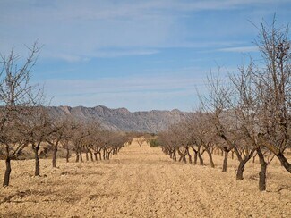 More details for Land for Sale