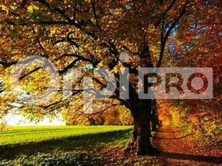 More details for Retail for Sale