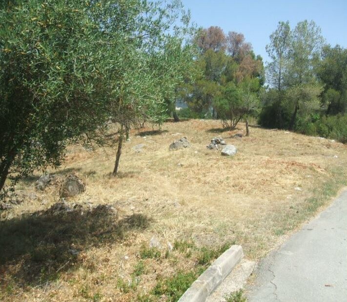 Land in Subirats, Barcelona for sale Primary Photo- Image 1 of 5